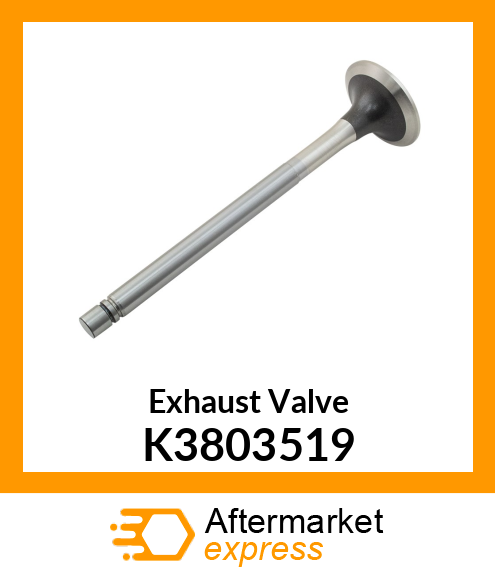 Exhaust Valve K3803519