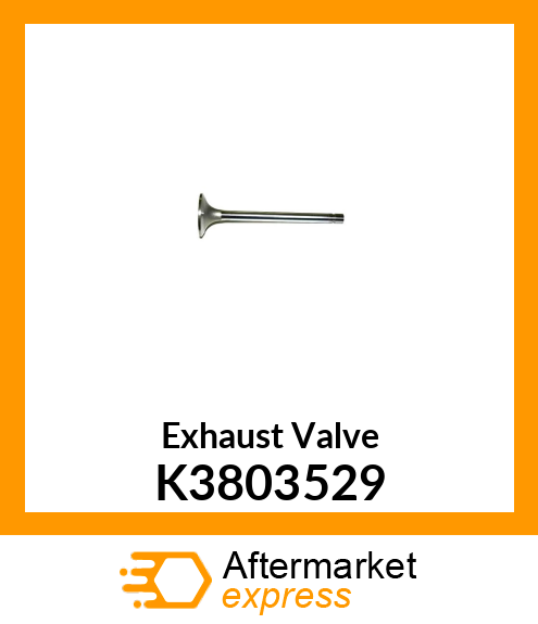 Exhaust Valve K3803529