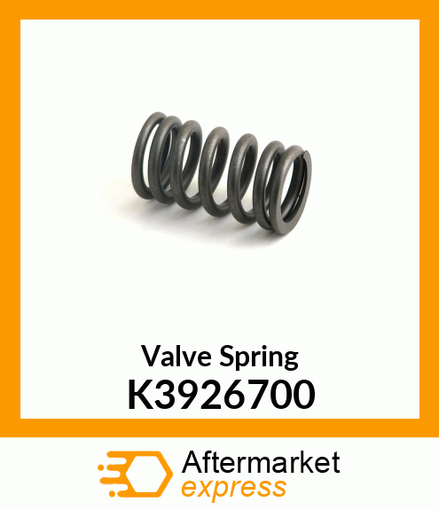 Valve Spring K3926700