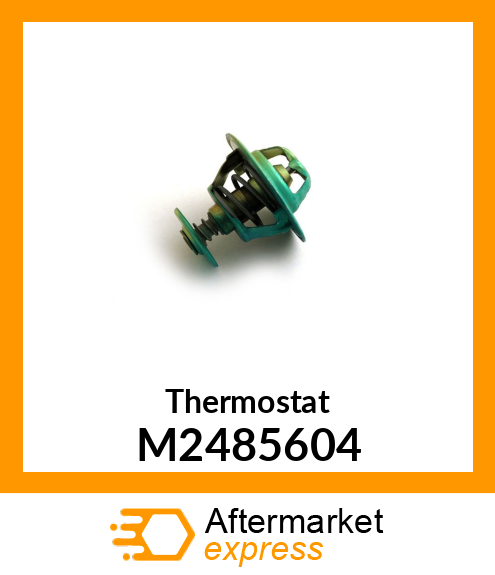 Thermostat M2485604