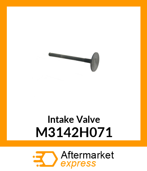 Intake Valve M3142H071