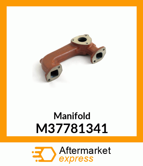 Manifold M37781341