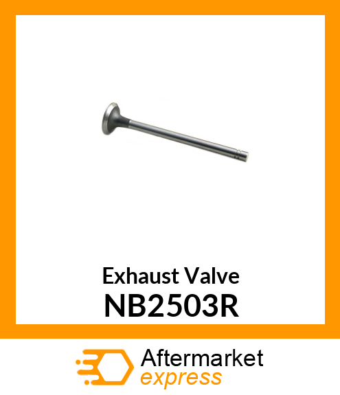 Exhaust Valve NB2503R