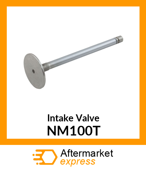 Intake Valve NM100T