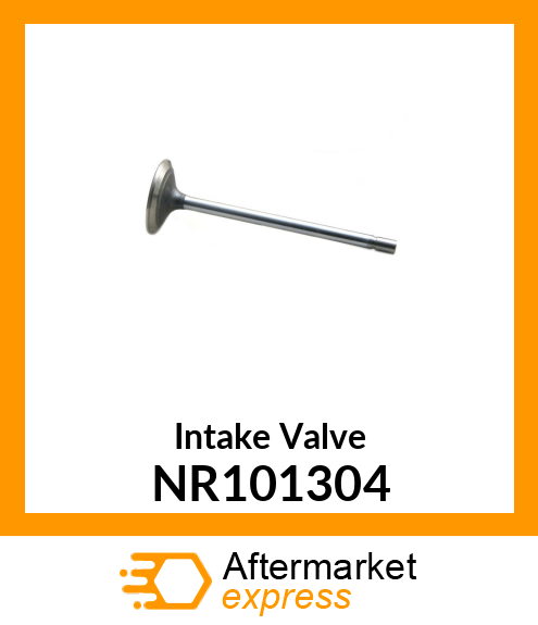 Intake Valve NR101304