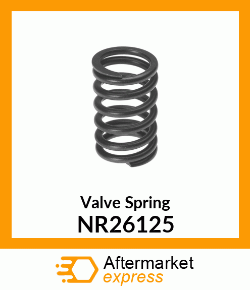 Valve Spring NR26125