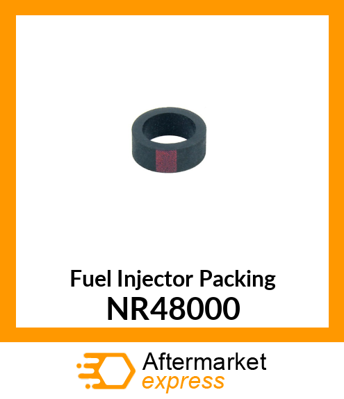 Fuel Injector Packing NR48000