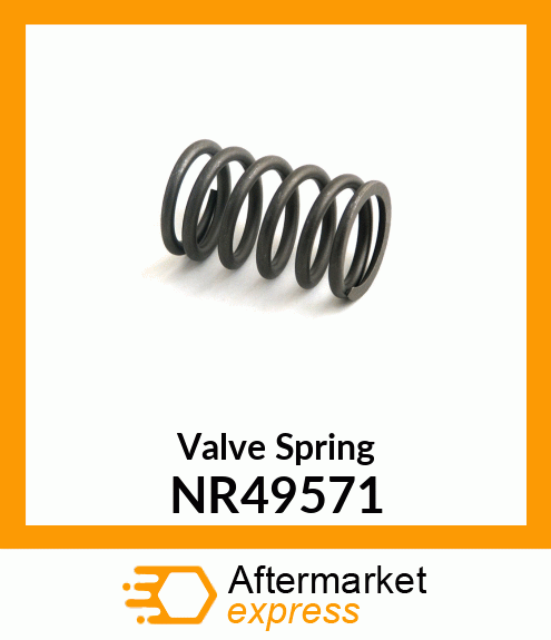 Valve Spring NR49571