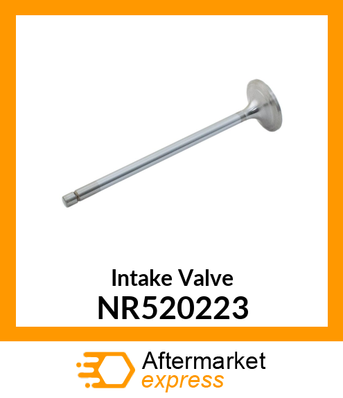 Intake Valve NR520223