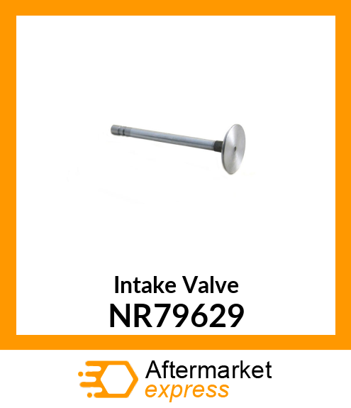 Intake Valve NR79629