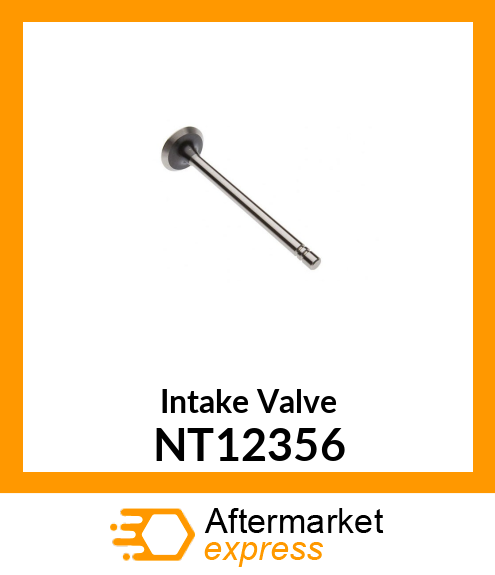 Intake Valve NT12356