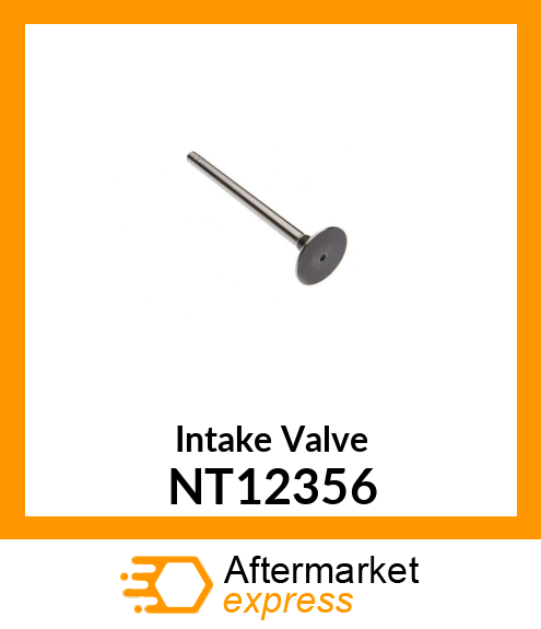 Intake Valve NT12356