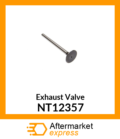 Exhaust Valve NT12357