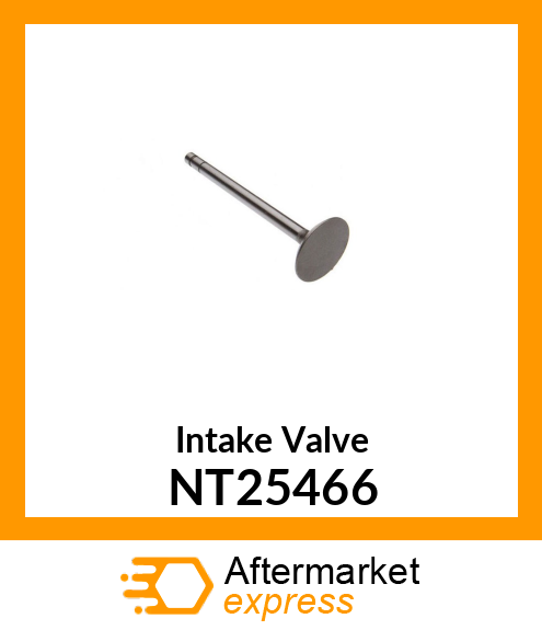 Intake Valve NT25466