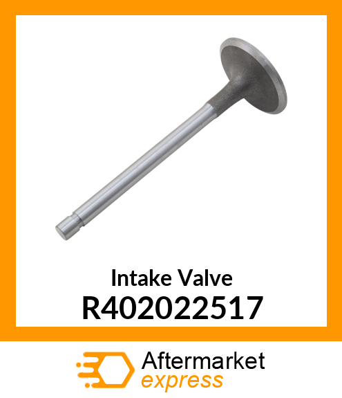 Intake Valve R402022517
