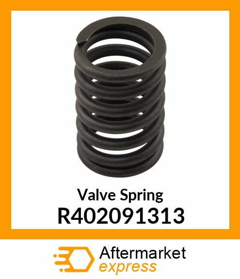 Valve Spring R402091313