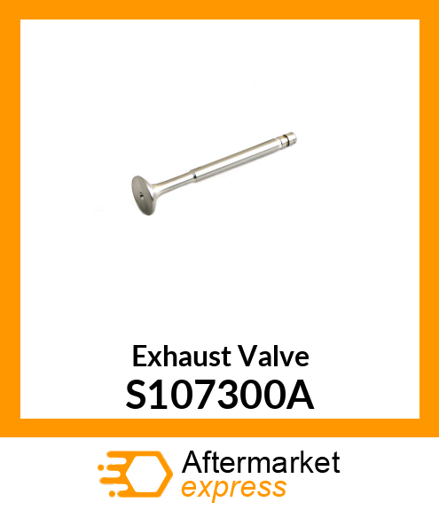 Exhaust Valve S107300A