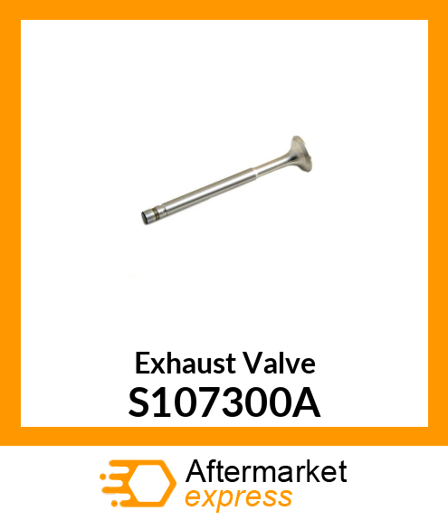 Exhaust Valve S107300A