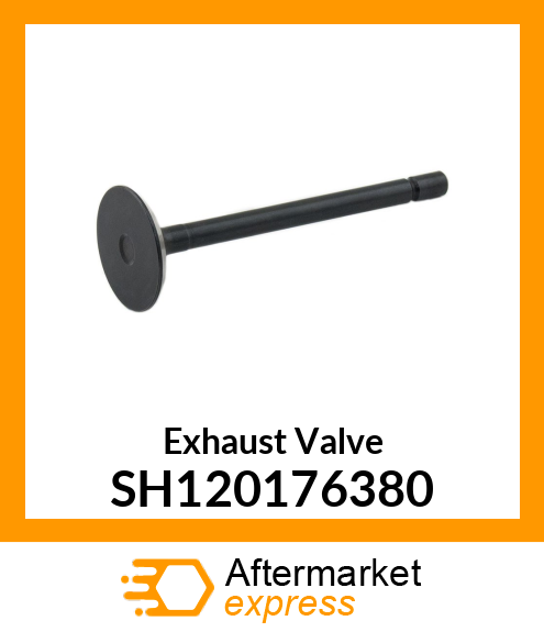 Exhaust Valve SH120176380