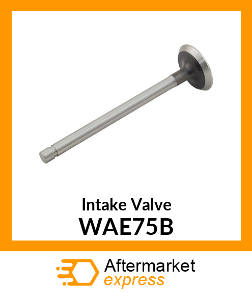 Intake Valve WAE75B