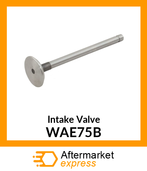 Intake Valve WAE75B