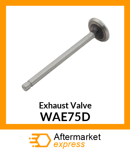 Exhaust Valve WAE75D