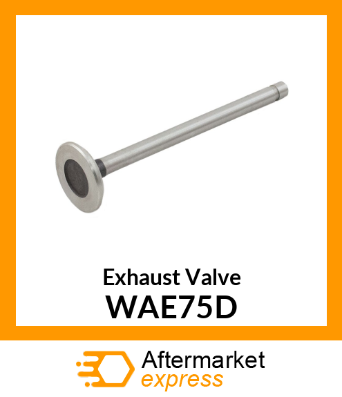 Exhaust Valve WAE75D