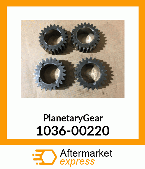 PlanetaryGear 1036-00220