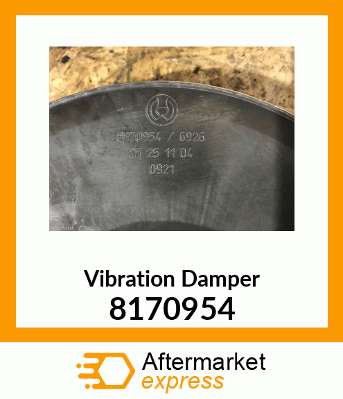 Vibration Damper 8170954