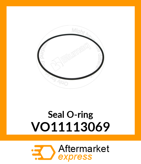 Seal O-ring VO11113069