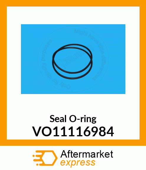 Seal O-ring VO11116984