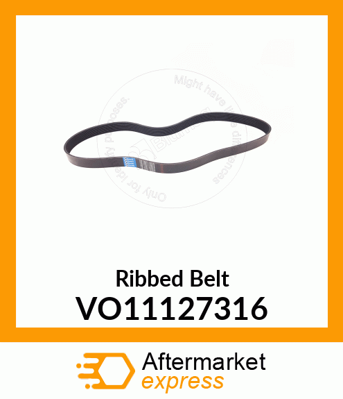 Ribbed Belt VO11127316