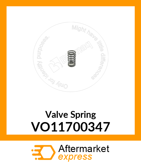 Valve Spring VO11700347