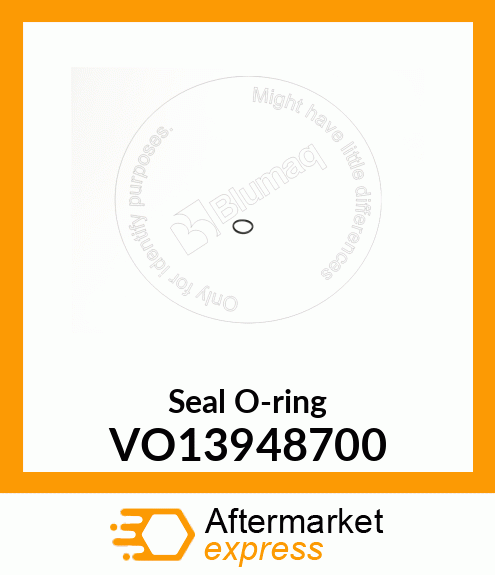 Seal O-ring VO13948700