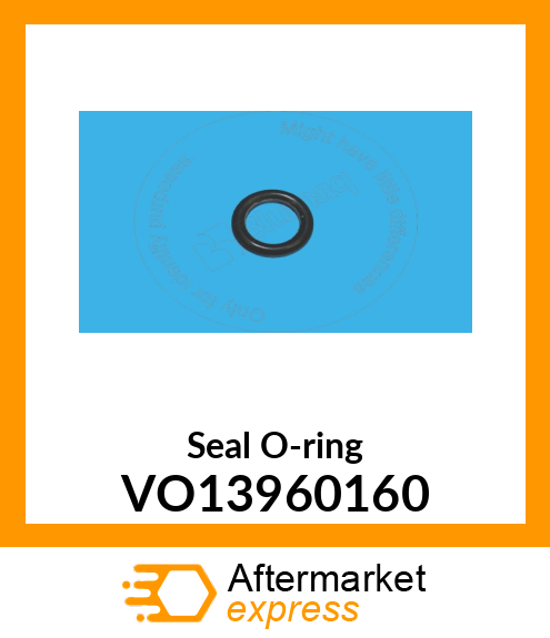 Seal O-ring VO13960160