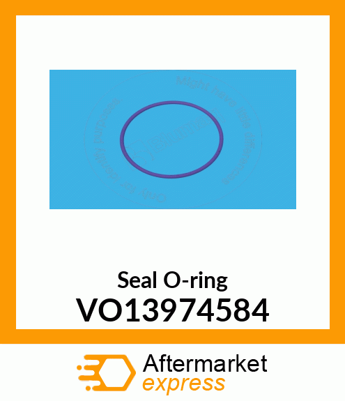 Seal O-ring VO13974584