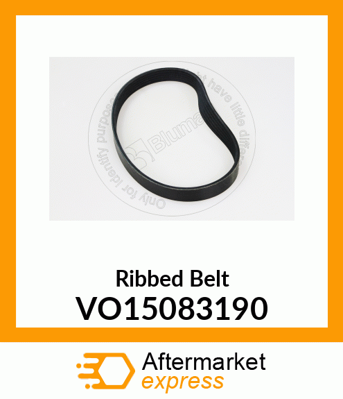 Ribbed Belt VO15083190