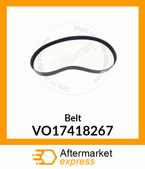 Belt VO17418267
