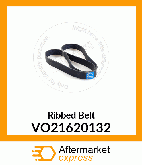 Ribbed Belt VO21620132