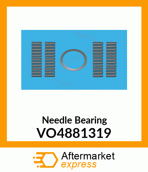 Needle Bearing VO4881319