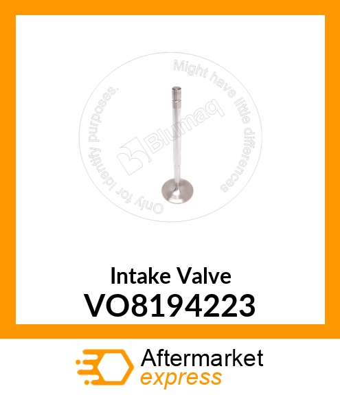 Intake Valve VO8194223