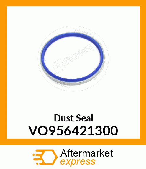 Dust Seal VO956421300
