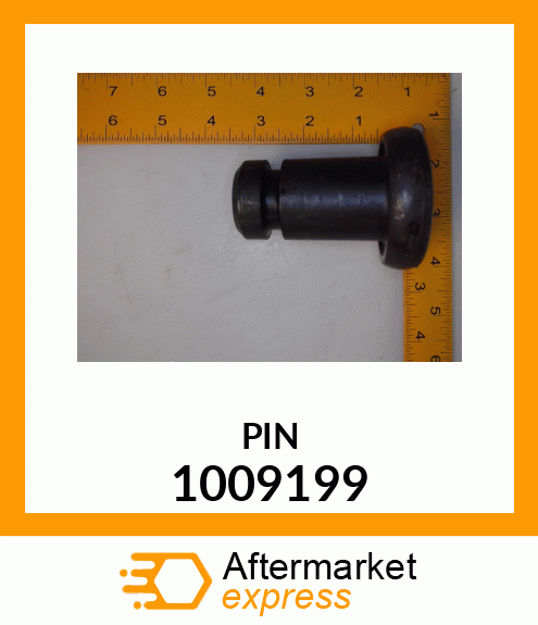 PIN 1009199