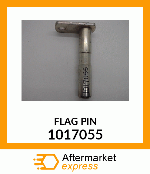 FLAG_PIN 1017055