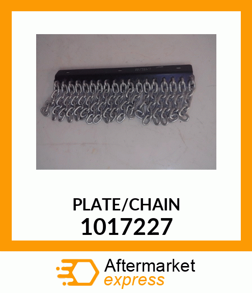 PLATE/CHAIN 1017227