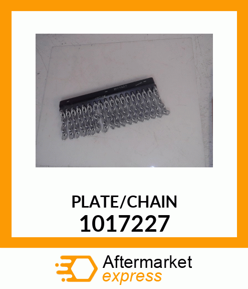 PLATE/CHAIN 1017227