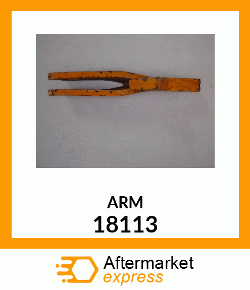 ARM 18113