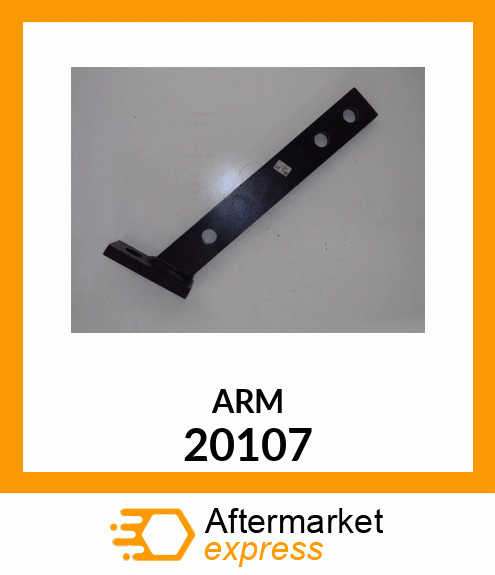 ARM 20107