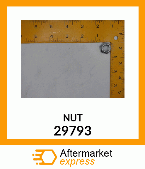 NUT 29793