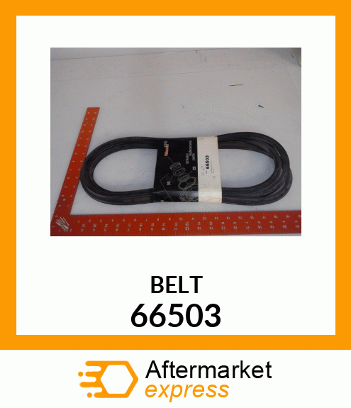 BELT 66503